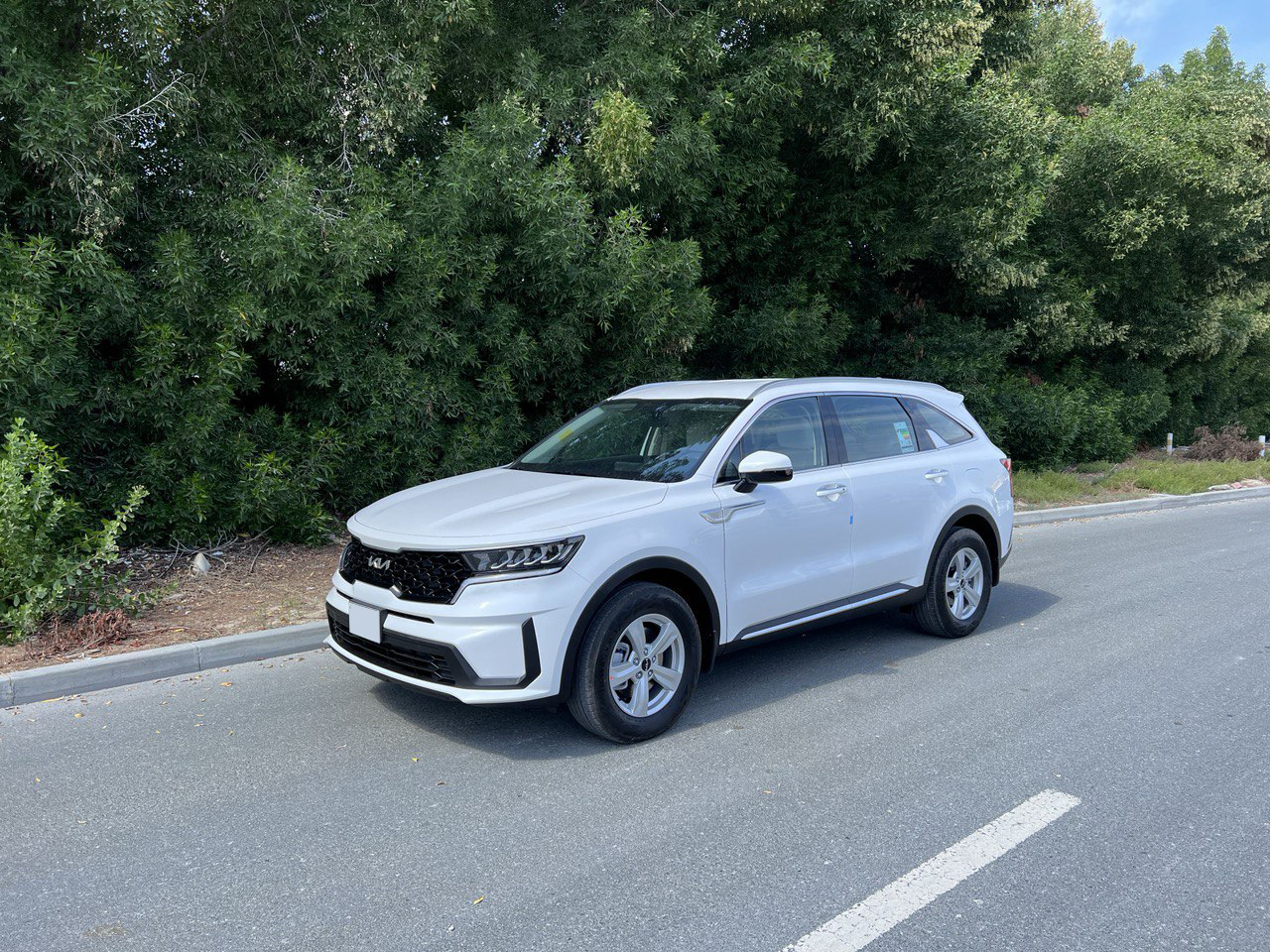 Detail Picture Kia Sorento - Rent in Dubai