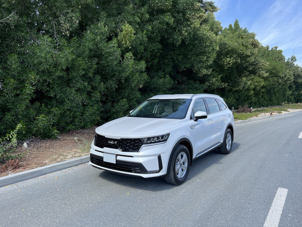 Detail Picture Kia Sorento - Rent in Dubai